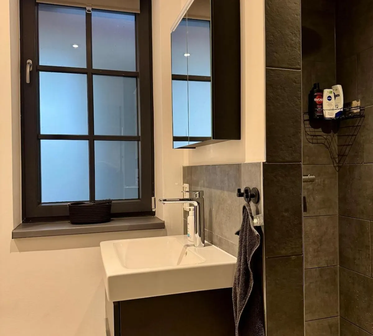 Luxury Design Loft Apartment Hamburg